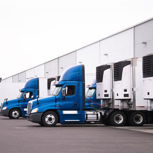 Blue Semis Blue Semis